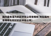 国内最有潜力的区块链公司有哪些[现在国内有哪些比较好的区块链公司]